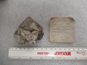 phacolite