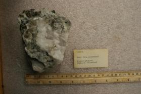 BERYL