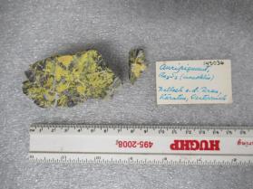 Orpiment var. Auripigment