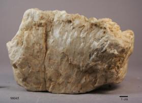FLUORAPATITE