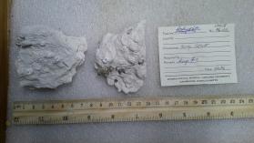 Anhydrite