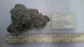 Gypsum