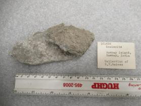 SCOLECITE