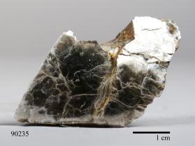 Muscovite