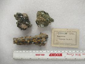 Muscovite