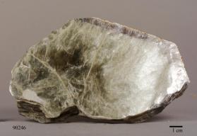 Muscovite