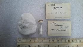 Apjohnite