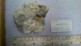 Halotrichite