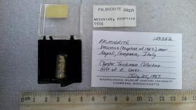 Palmierite