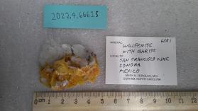 Wulfenite with Barite