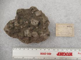 ORTHOCLASE with schorl?