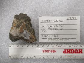 Clinoptilolite