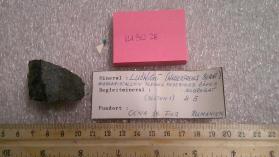 Ludwigite (TL)