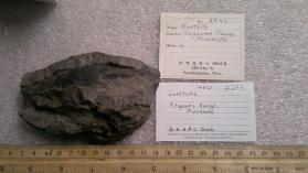 Goethite