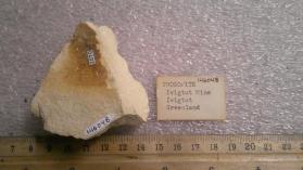 Prosopite