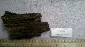 stalactitic limonite