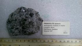 Pinakiolite