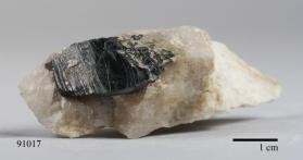 Columbite-(Fe) with Albite and Quartz