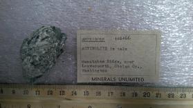 Actinolite