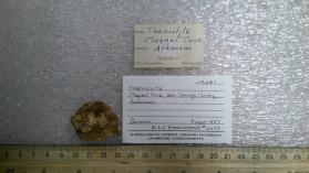 tainiolite