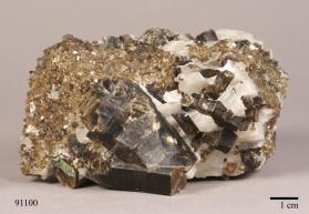 Phlogopite