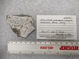 Phillipsite