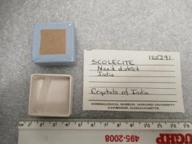 SCOLECITE