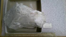 Pyrophyllite