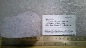Lepidolite