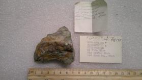 Montroseite Tyuyamunite Pitchblende