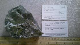 Collinsite