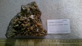 Wulfenite