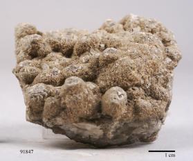 Muscovite