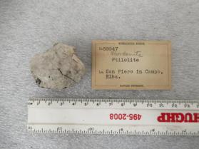 ptilolite