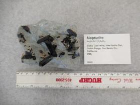 Neptunite