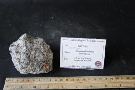 Woodson Mountain Granodiorite