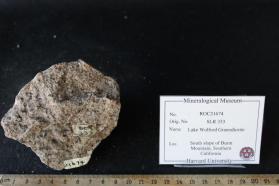 Lake Wolford Leucogranodiorite