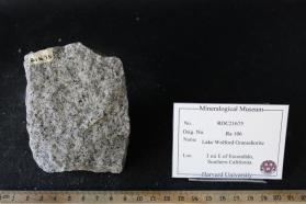 Lake Wolford Leucogranodiorite