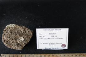 Indian Mountain Granodiorite