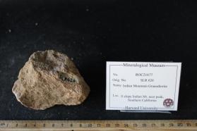 Indian Mountain Granodiorite