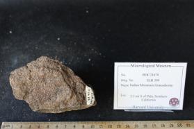 Indian Mountain Granodiorite