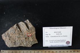 Granodiorite of De Luz Station