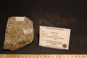 Granodiorite of the Hot Springs Area