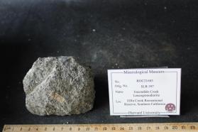 Escondido Creek Leucogranodiorite