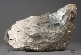 Muscovite