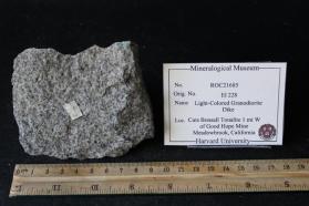 Aplitic Granodiorite