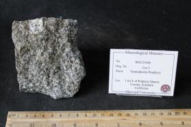 Granodiorite Porphyry