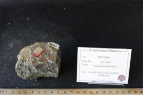 Granodiorite Porphyry