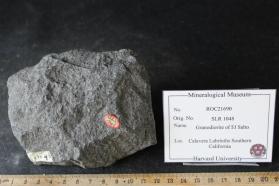 Granodiorite of El Salto