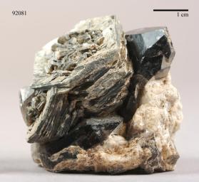 Muscovite